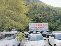 -牛背梁国家森林公园