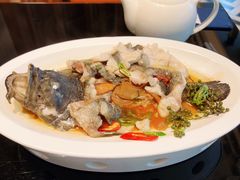 青花椒蒸龙胆鱼-闽和南(深圳万象城店)