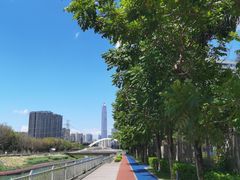 -福田红树林生态公园