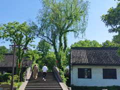 -鲁镇