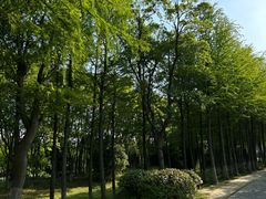 -苏州太湖国家湿地公园