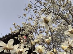 -碑林公园