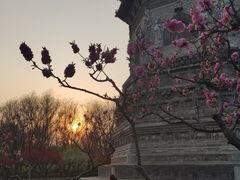 -玲珑塔公园