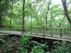 -大青沟风景区