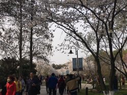 点击看大图 -玄武湖景区-情侣园游乐场