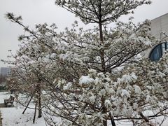 -回龙观体育文化公园