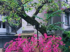 -广东外语外贸大学(白云山校区)
