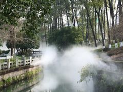 -桂湖森林公园