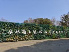-同里国家湿地公园
