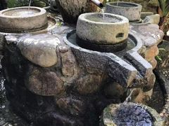 -天门沟九州驿站树上汤泉