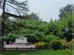 -莲花池公园