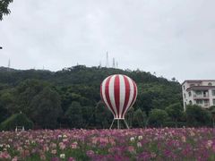-玫瑰小镇