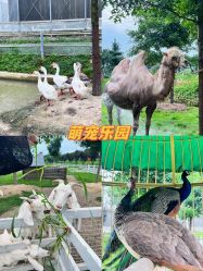 -湖州德清田美树心农乐园