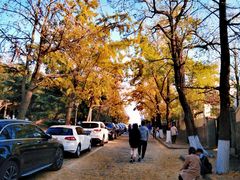 -八大关景区