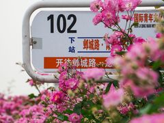 -南京国际青年文化中心