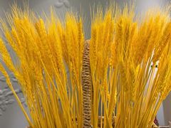 -华夏良子·足道SPA艾灸(铁道大厦店)