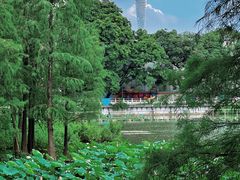 -东山湖公园