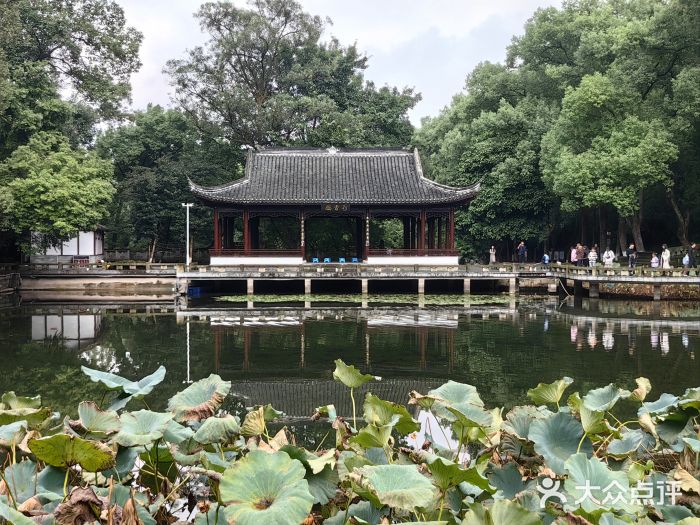 忠山公园图片