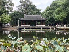 -忠山公园