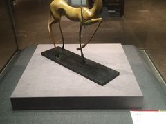 -西安大唐西市博物馆