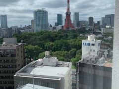-东京塔海贼王主题公园