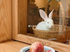 -懒鱼时光馆(沙坪坝店)