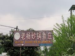 -老杨砂锅鱼庄