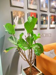 点击看大图 -OCEAN DANCE高空舞蹈室