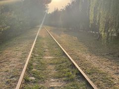 -永定河休闲森林公园