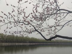 -颐和园