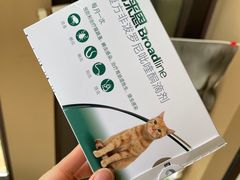 -艾贝尔宠物医院·24H转诊中心·肿瘤猫专科(江宁双龙店)