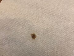 -大瀚养生SPA足道会馆(长逸店)