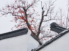 -北寺塔