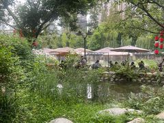 -成都市活水公园