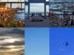 -宝安西湾红树林湿地公园