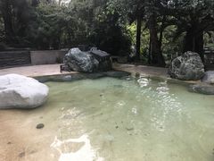 -鱼凫国都大酒店温泉