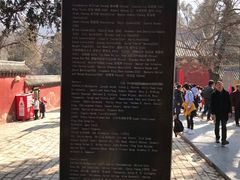 -嵩山少林文化旅游景区