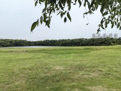 -盘龙城国家考古遗址公园