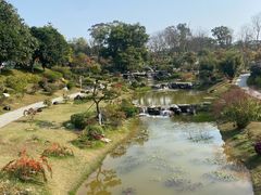 -东莞植物园