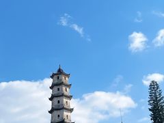 -江心屿景区