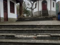 -上海佘山国家森林公园天马山园