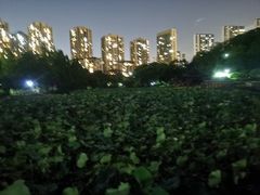 -龙头寺公园