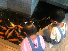 -深圳隐秀山居酒店