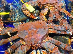 -79号渔船海鲜饭店(华强北店)