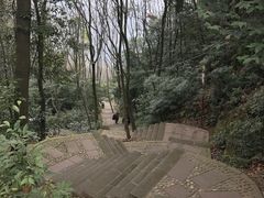 -凤栖山