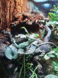 -酷嗒动物文化乐园(cutezoo西溪乐天城店)