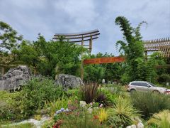 -桤木河湿地公园