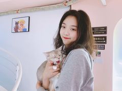 -极木²邸 人与宠物·互动社区