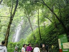 -莫里热带雨林景区
