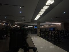 -章鱼健身 Octopus